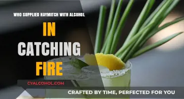 Unveiling the Secret Supplier of Haymitch's Alcohol in Catching Fire