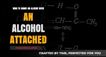 Alkenes and Alcohols: Naming Complex Hydrocarbon Molecules