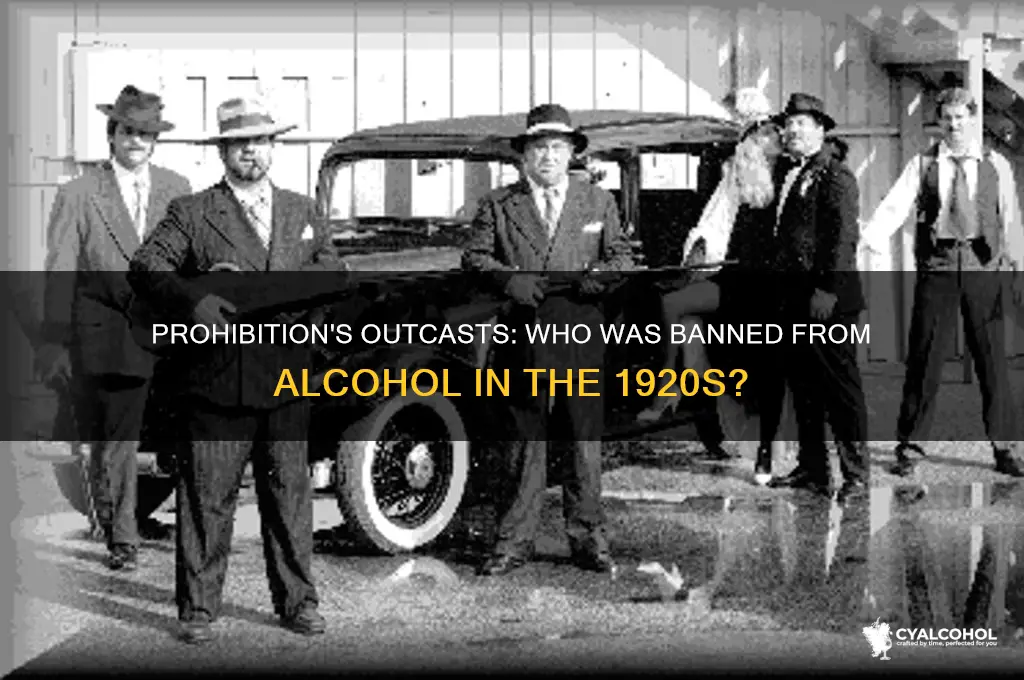 who was banned from alcohol in the 20s