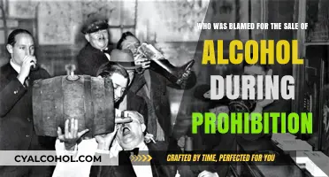 The Blame Game: Alcohol Sales During Prohibition