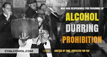 The Poisoning Plot: Prohibition's Deadly Secret
