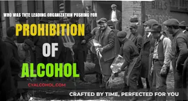 The Temperance Movement: Leading the Prohibition of Alcohol