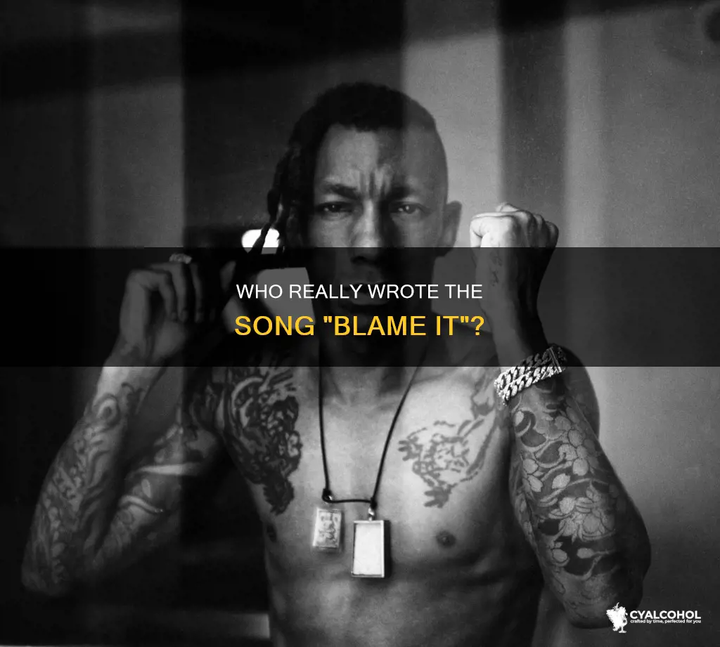 who wrote the song blame it on the alcohol