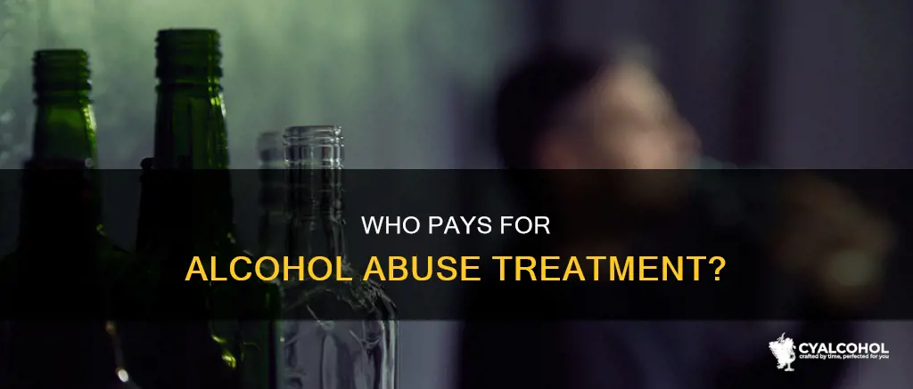 who you believe should be responsible in paying alcohol abuse