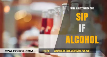 Why Does Alcohol Cause a Buzz After Just One Sip?