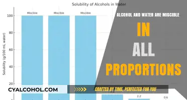 How Alcohol and Water Mix Completely