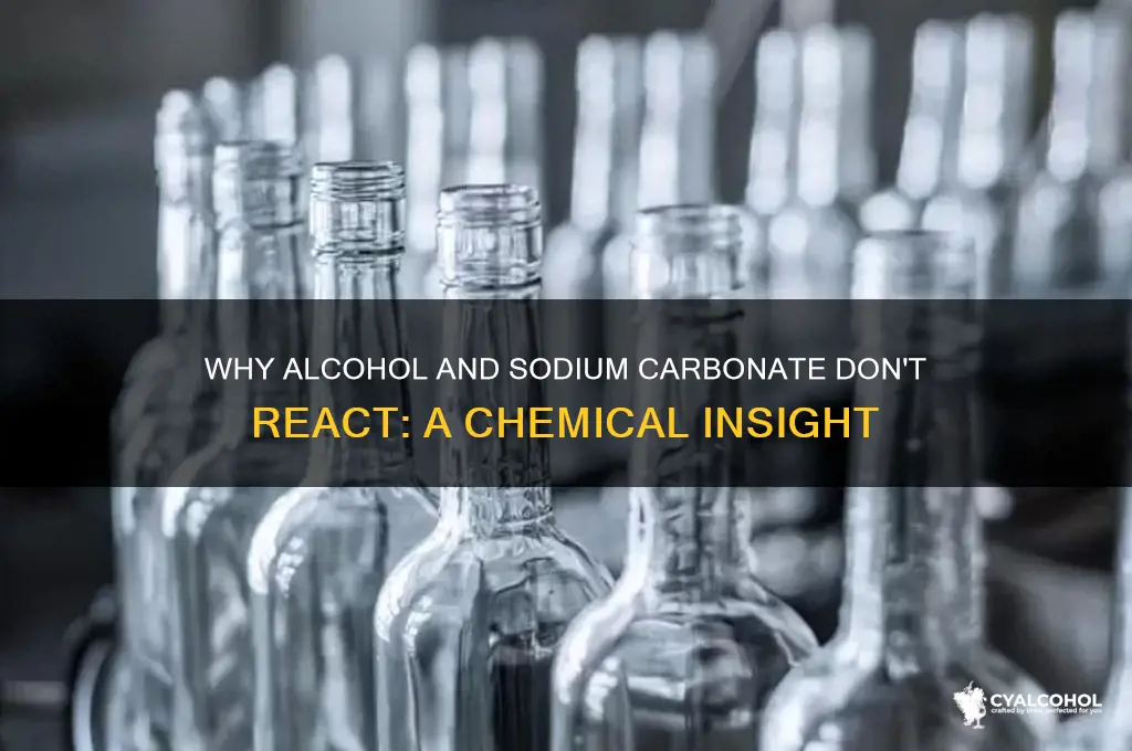 why alcohol does not react with sodium carbonate