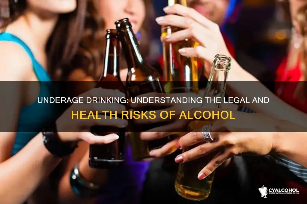 why alcohol is not allowed for under 21