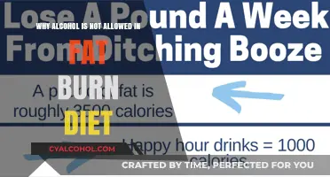 Alcohol Hinders Fat Burn: Why It's a No-Go in Diets