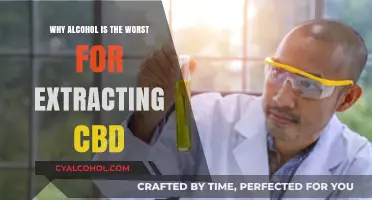 Alcohol Extraction Fails: Why It’s Inefficient for CBD Isolation
