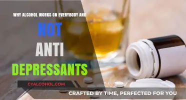 Alcohol vs Antidepressants: Why Do They Affect Us Differently?