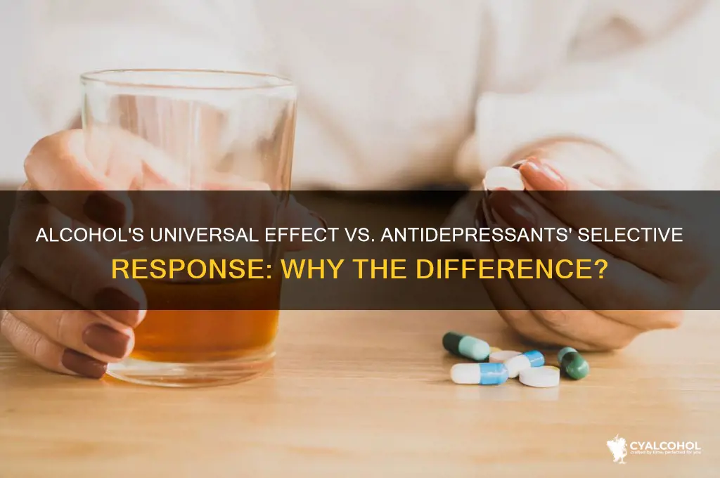 why alcohol works on everybody and not antidepressants