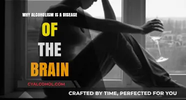 Understanding Alcoholism: A Brain Disease, Not a Moral Failing