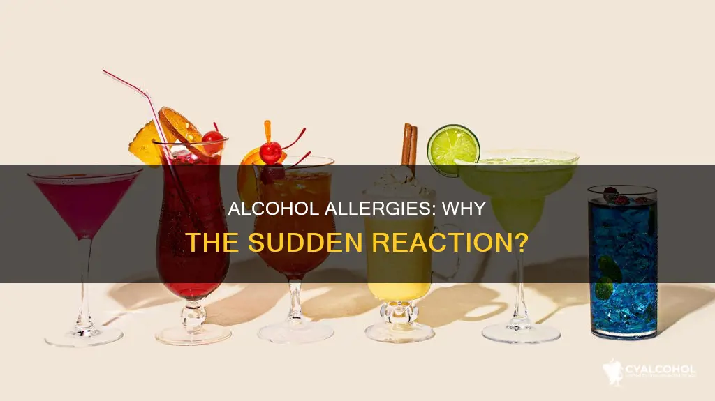why am i all of a sudden allergic to alcohol