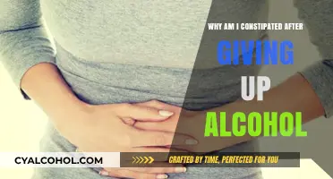 Sobriety and Digestion: Understanding Post-Alcohol Constipation Causes and Relief
