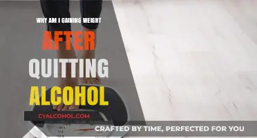 Sober Weight Gain: Understanding Post-Alcohol Weight Changes and Solutions