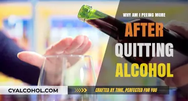 Increased Urination After Quitting Alcohol: Causes and What to Expect