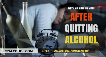 Quitting Alcohol: Understanding Increased Sleep Patterns and Recovery Benefits