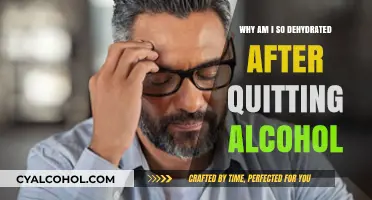 Quitting Alcohol and Feeling Dehydrated: Understanding Post-Sobriety Thirst