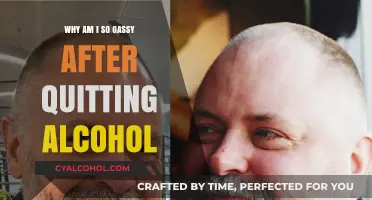 Quitting Alcohol and Increased Gas: Understanding Post-Sobriety Digestive Changes
