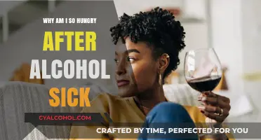 Alcohol-Induced Hunger: Understanding Post-Hangover Cravings and Nausea