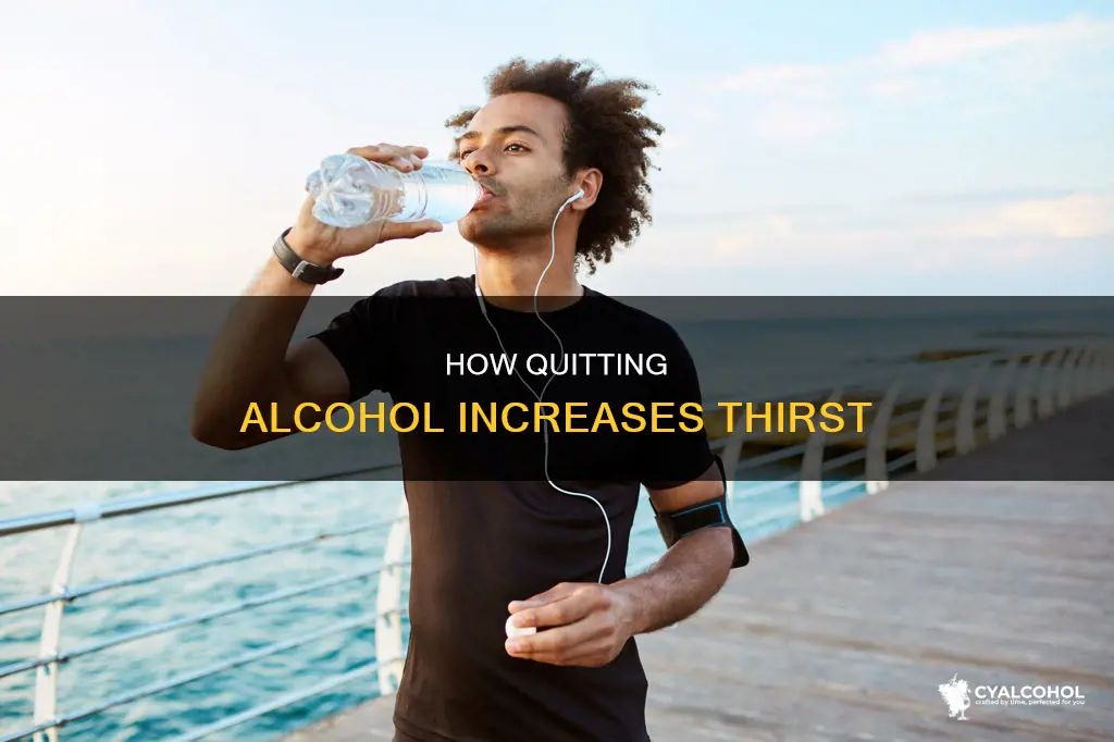 why am i so thirsty after giving up alcohol