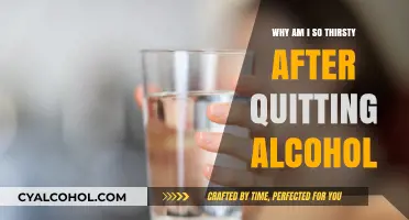 Quitting Alcohol? Understanding Post-Sobriety Thirst and Hydration Needs