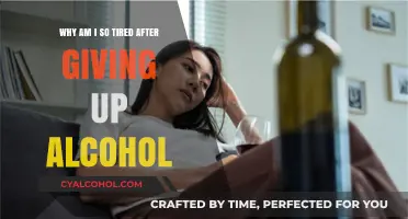 Alcohol-Free Fatigue: Why Do I Feel So Tired?