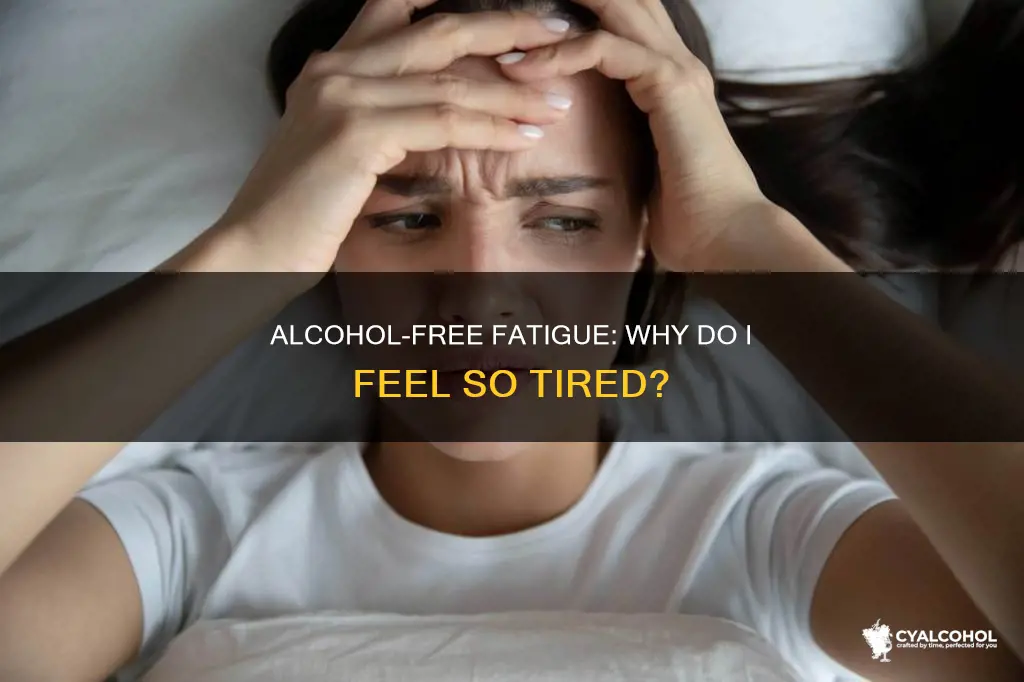 why am i so tired after giving up alcohol