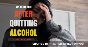 Post-Alcohol Fatigue: Understanding Exhaustion After Quitting Drinking