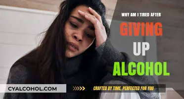 Post-Alcohol Fatigue: Understanding Why Sobriety Leaves You Feeling Exhausted