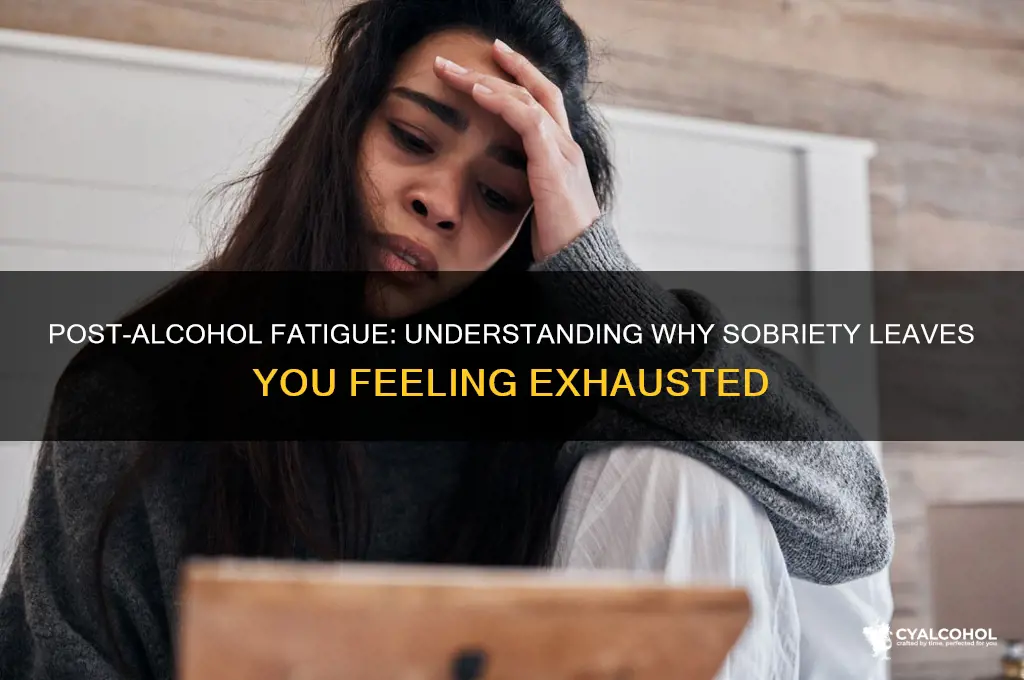 why am i tired after giving up alcohol