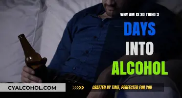Alcohol's Lingering Fatigue: Why You're Still Tired Days Later