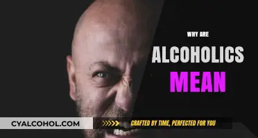 Understanding the Aggression: Why Alcoholics Often Become Mean and Hostile