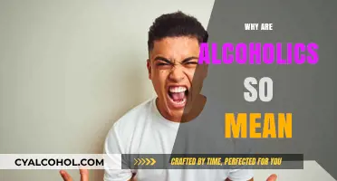 Understanding the Aggression: Why Alcoholics Often Become Verbose and Mean
