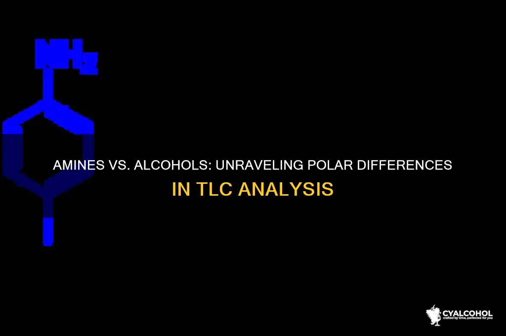 why are amines more polar than alcohols tlc