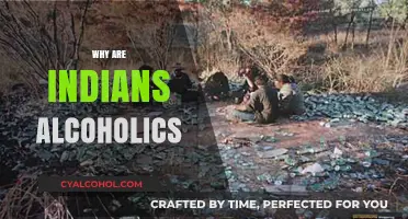 Understanding the Complex Factors Behind Alcoholism in Indian Communities