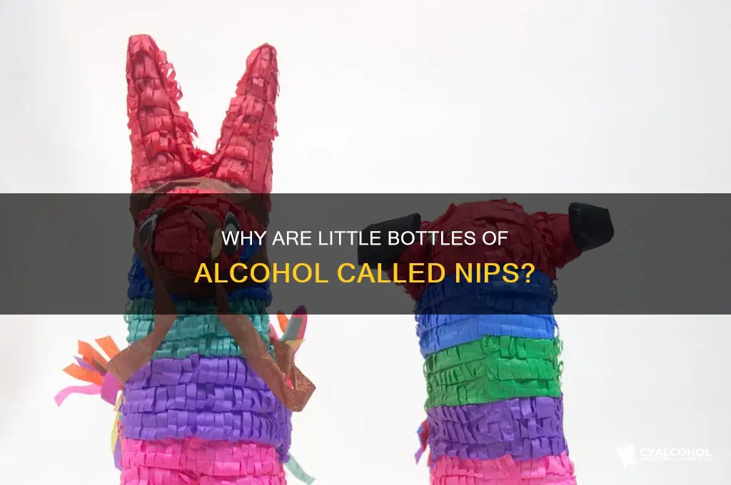 why are little bottles of alcohol called nips