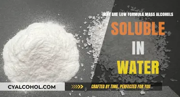 How Alcohols With Low Formula Mass Dissolve in Water