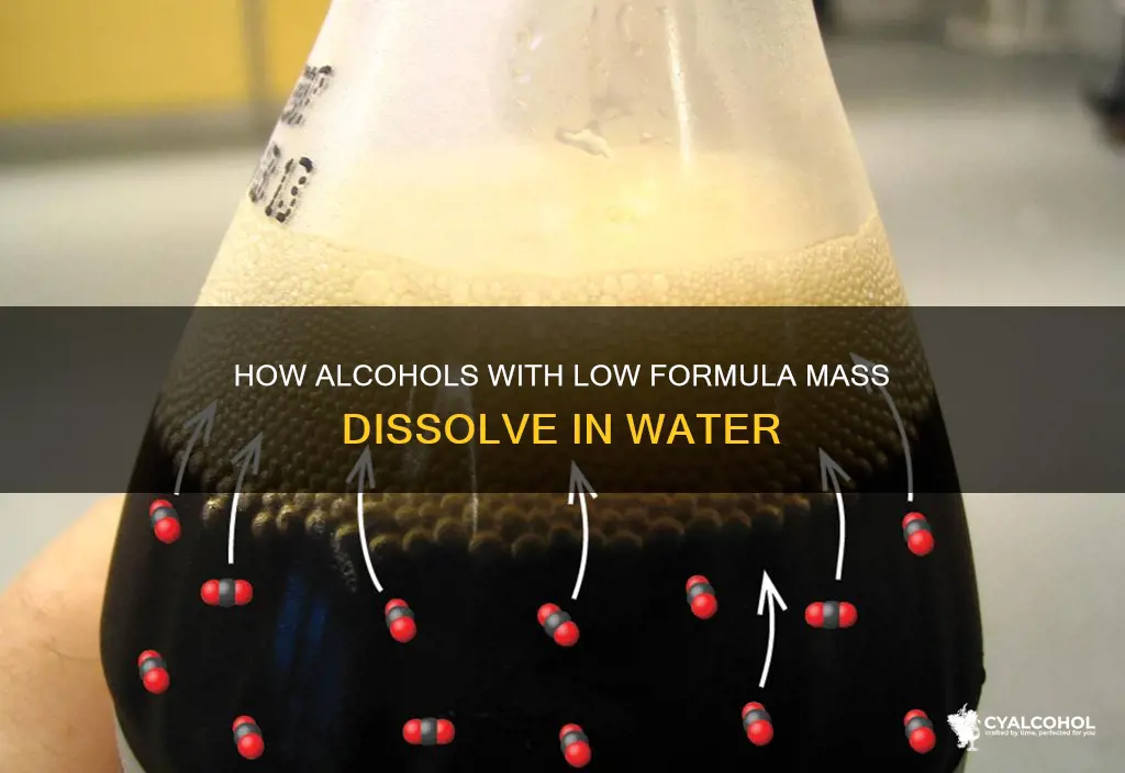 why are low formula mass alcohols soluble in water
