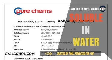 How Alcohols' Solubility in Water is Determined