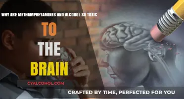 Meth and Alcohol: A Deadly Cocktail for Your Brain