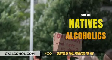 Understanding the Complex Factors Behind Alcoholism in Indigenous Communities
