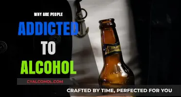 Understanding Alcohol Addiction: Causes, Triggers, and the Cycle of Dependence