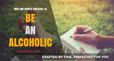 Finding Light in Darkness: Gratitude in Alcoholism Recovery Journeys