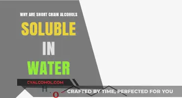Why Short-Chain Alcohols Dissolve Easily in Water: Explained