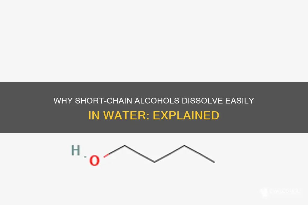 why are short chain alcohols soluble in water