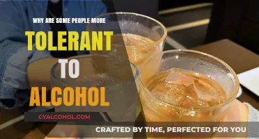 Genetics, Metabolism, and Lifestyle: Unraveling Alcohol Tolerance Differences