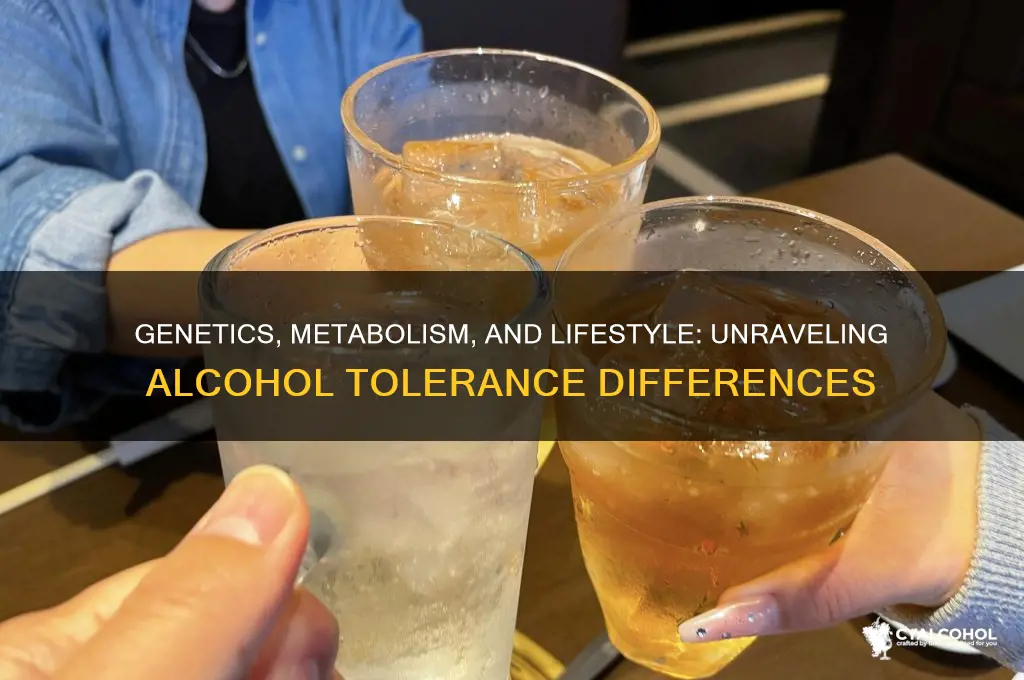 why are some people more tolerant to alcohol