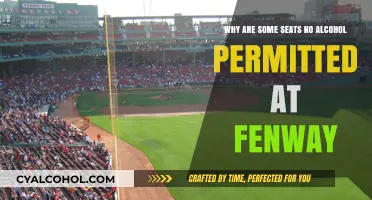 Fenway's Dry Seats: Why the Alcohol Ban?